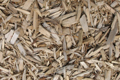 biomass boilers Underwood